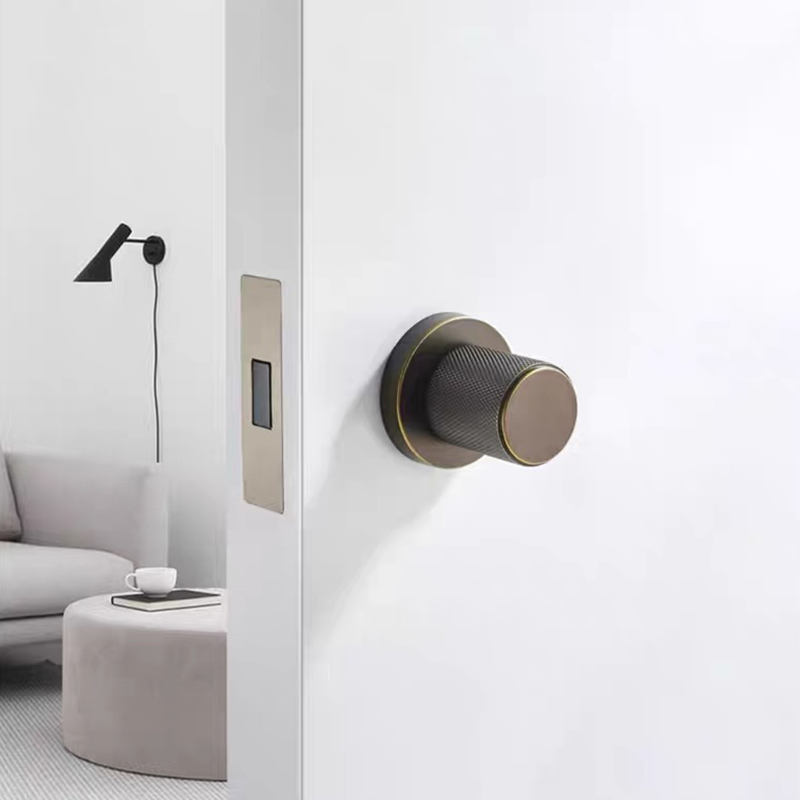 Modern Wooden Gold Silent Roun - đánh giá và giá Door Handle